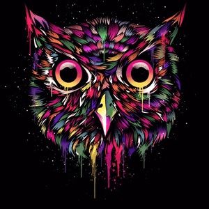 Meet your Posher, Chrissy